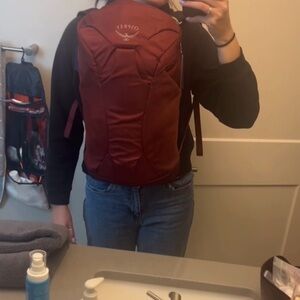 Osprey day Backpack